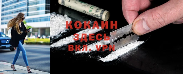 индика Вязники