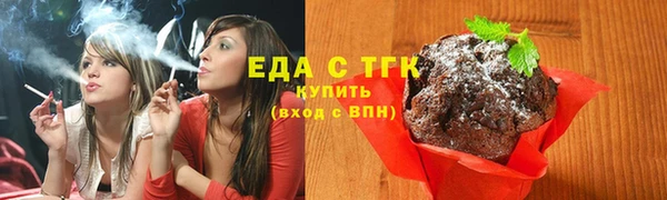 индика Вязники
