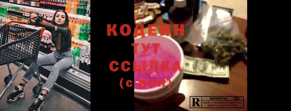 индика Вязники