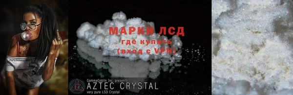 индика Вязники