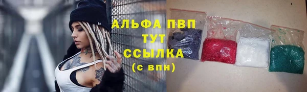 индика Вязники