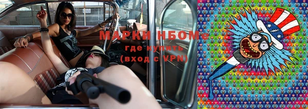 индика Вязники