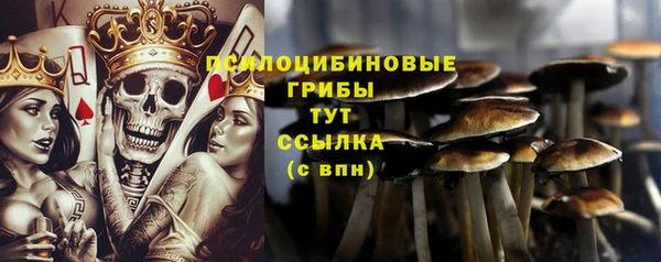 круглые Вяземский