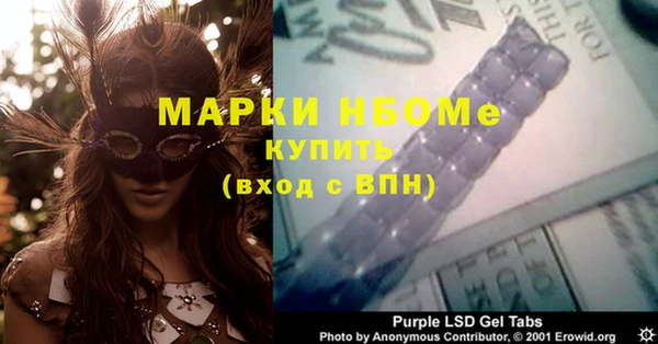 индика Вязники