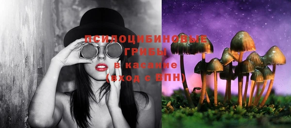 индика Вязники